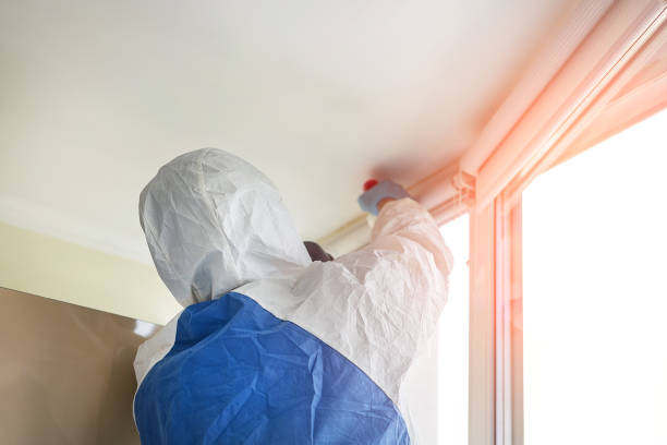  Lake Of The Woods, IL Mold Removal & Remediation Pros